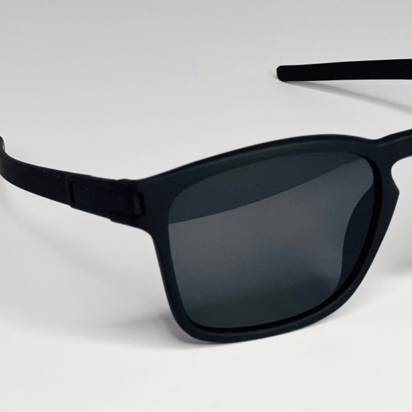 Wayfarer Black sunglasses