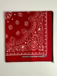 Red Printed Bandana