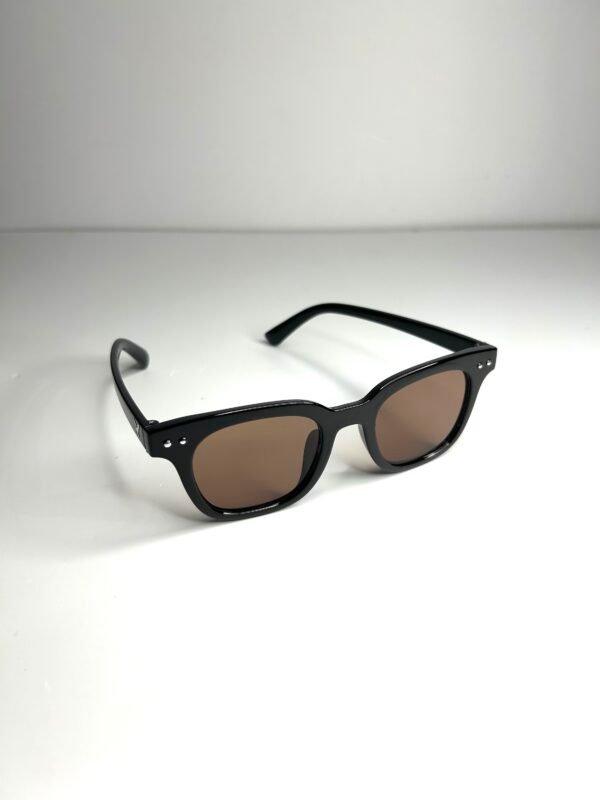 Retro Square Brown Colour Sunglasses